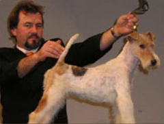 Ausstellungen