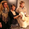Ausstellungen